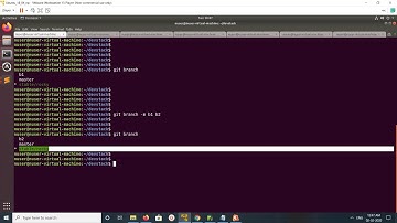 How to Rename a Local Git branch