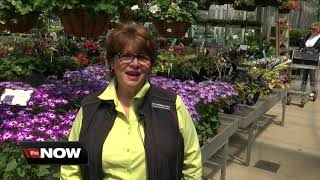Gardeners can rent space at Lockwood's Garden Center in Hamburg