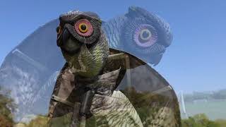 Bird X Prowler Lifelike Owl Decoy