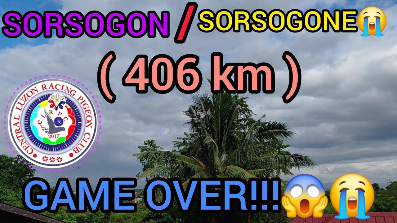 Sorsogon/Sorsogone😭 ( 406km ) GAME OVER😭