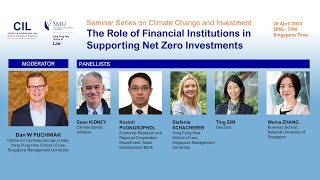 The Role of Financial Institutions in Supporting Net Zero Investments
