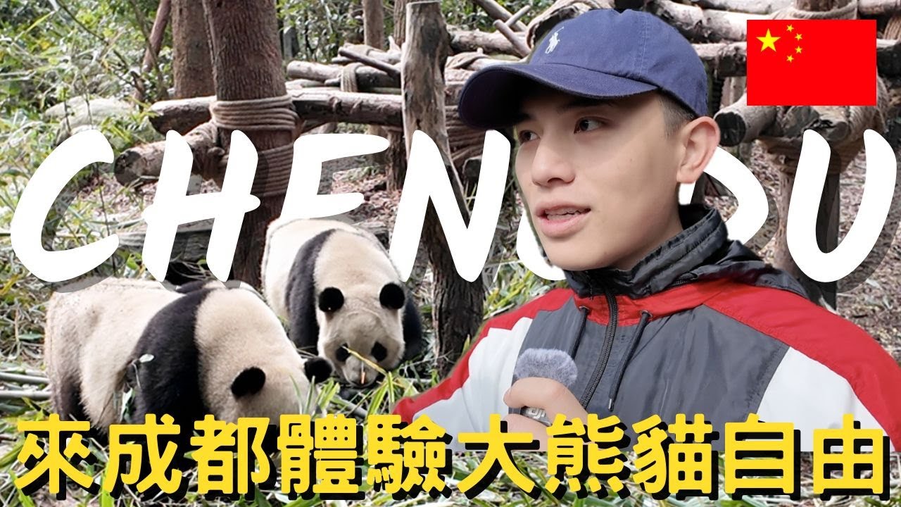 【成都 Chengdu Vlog 】｜成都去哪裡看大熊貓？｜台灣人第一次看到這麼多熊貓｜最省力又不累的都江堰玩法｜灌縣古城美食一次蒐集｜超推粉蒸排骨一天吃兩次～｜