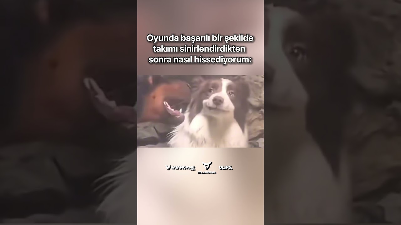 Herkes bağırırken bizim keyif: #valorant #cs #memes #gaming #game #esports #valorantmemes