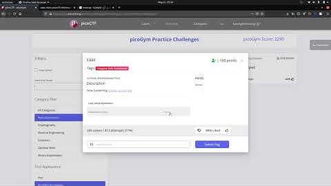 PicoCTF mini by redpwn-caas(WEB Exploition)