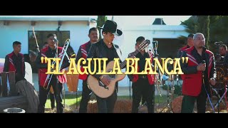 EL ÁGUILA BLANCA - VIDEO OFICIAL (EN VIVO) BANDA EL EDÉN FT. GRUPO EXCLUSIVO