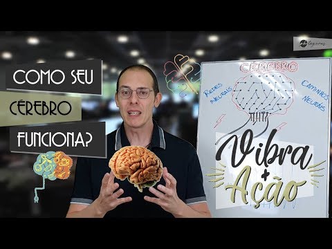 Como seu cérebro Funciona