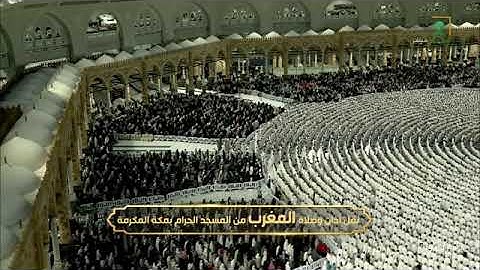 ماتيسر من سورة الاحزاب لـ فضيلة الشيخ #فيصل_غزاوي من صلاة المغرب ٨ صفر ١٤٤٦هـ