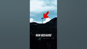 If You See this Tree You are in Trouble