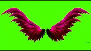 Green screen efek sayap 30 detik