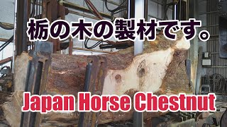 日本の栃の木の製材です。Japan Horse Chestnut Sawing!!