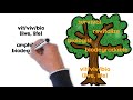 Root Words Quiz