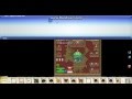 Graal Online Classic Onnet General store Christmas items