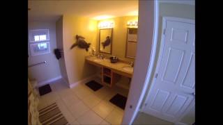 Splash #902E 2BR MLS