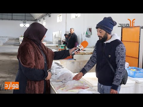 من الفاو جولة المربد بـ النگعة أنواع الأسماك والأسعار بموسمها الشتوي 