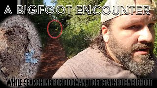 While searching for Dogman, I have a close encounter with Bigfoot