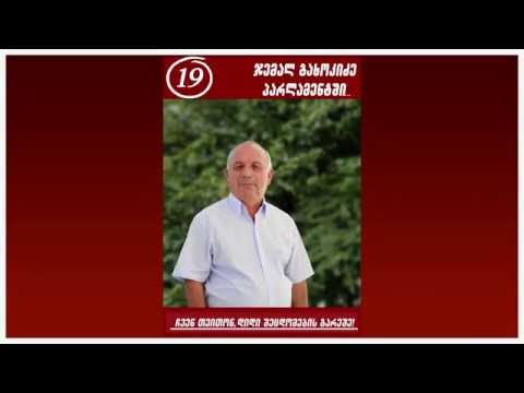 ჯემალ გახოკიძე პარლამენტში