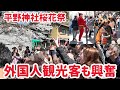 4月10日 外国人観光客も興奮! 平野神社桜花祭_桜花祭神幸列 kyoto japan