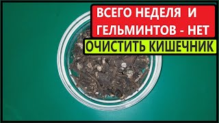 Всего за Неделю Можно Избавиться от Различных Гельминтов Обитающих в Кишечнике