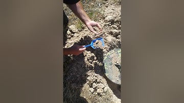 7.3 gram gold nugget GPX4500 14" elite coil