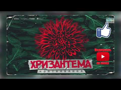 KONTRABANDA   Хризантема новинки 2019, текст и слова песни