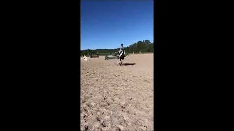 Theresa Baker - Tryout Video