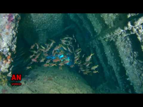 Diving on the wreck «SS Dunraven». Red sea, Egypt