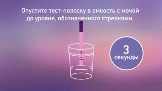 Evitest One & Plus - как использовать тест-полоски для определения беременности