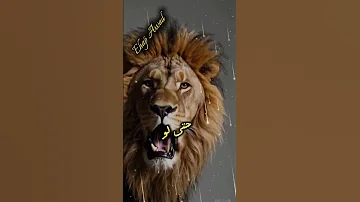 سأريك من أنا شخص لا يتكرر مرتين كلام من ذهب حكم اكسبلور الحياه Viralvideo كلام من القلب قوة 