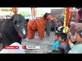 KALAH MATERI//NADA BUANA TERBARU 2024 LIVE PENDE