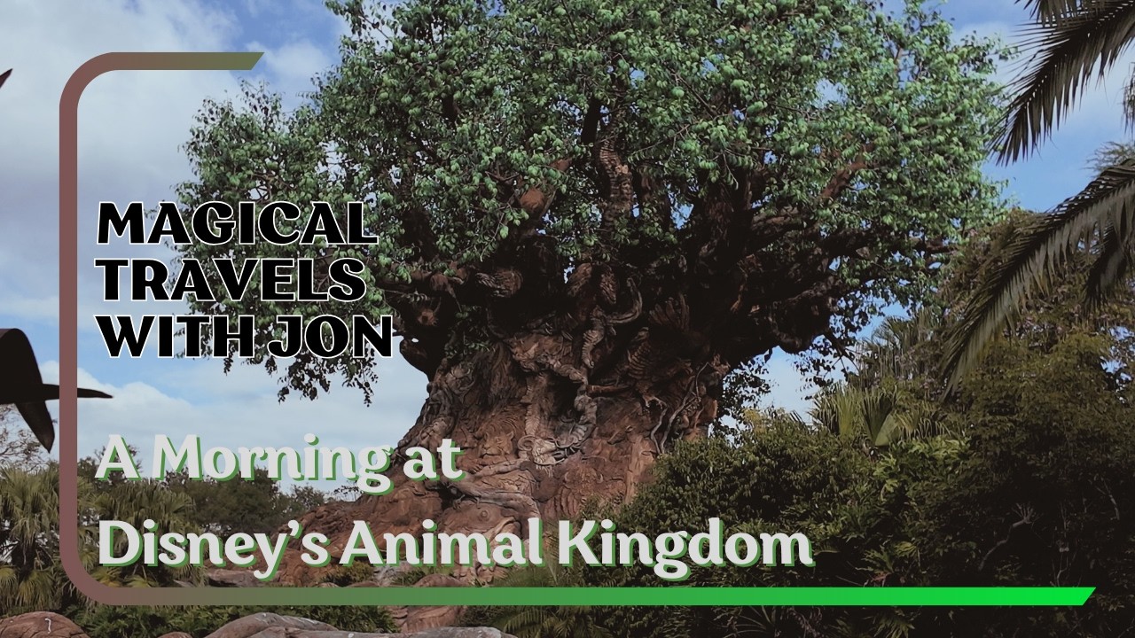 A Morning At Disney's Animal Kingdom