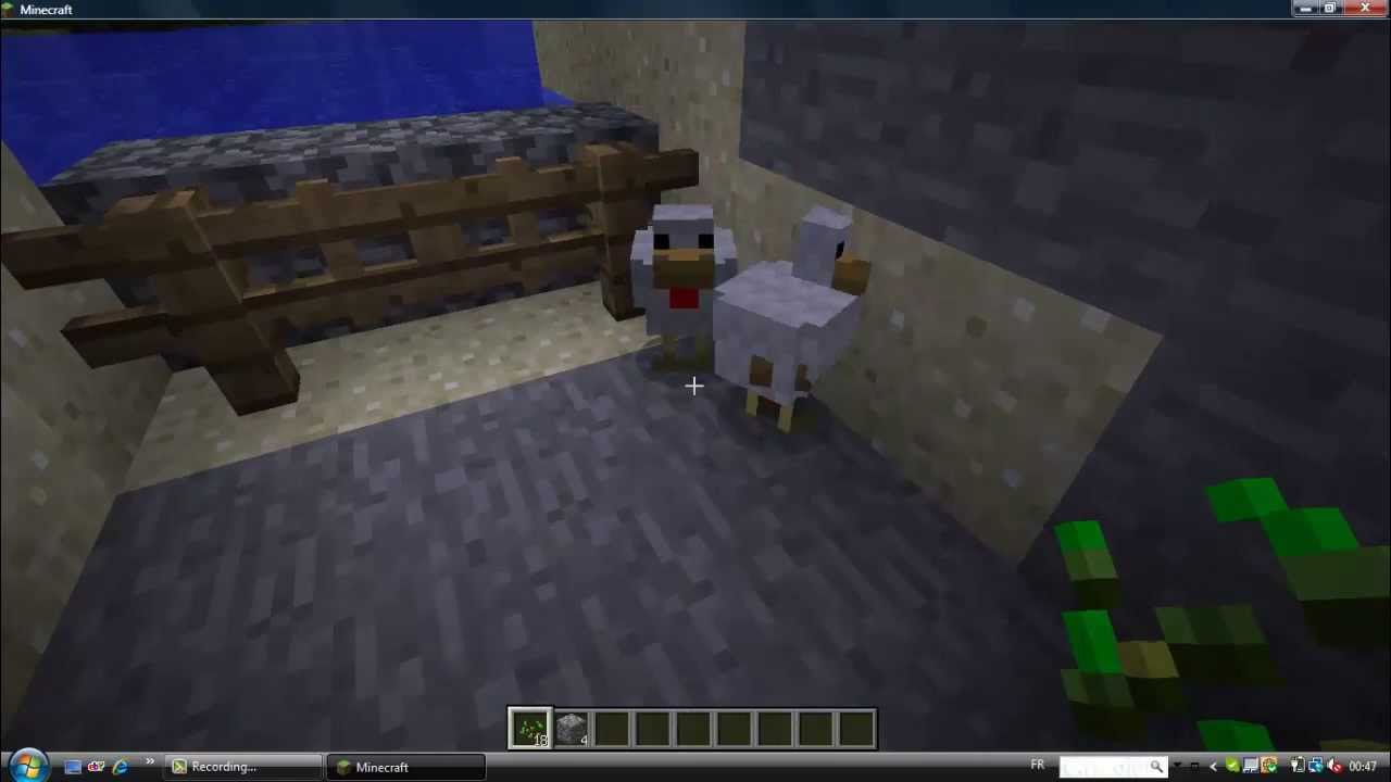 Minecraft Comment Reproduire Des Poules - YouTube