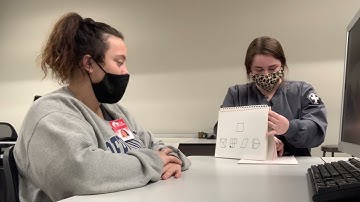 Motor-Free Visual Perception Test