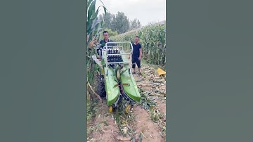 High efficiency corn harvester #agricultural #mechanical #harvester