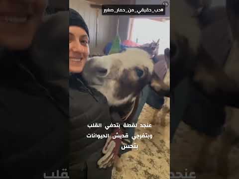 حمار م نقذ يحضنها ويقب لها بكل حب