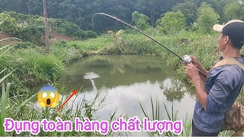 Câu cá lóc_Đi ao xa đụng toàn những con hàng to bự @Hữunghị tv