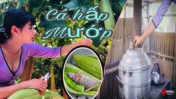 CÁ LÓC HẤP MƯỚP NGON NGỌT BẠN SẼ THÍCH MÊ NGÂY | ✅ TỚI MIỀN TÂY • Tập 144