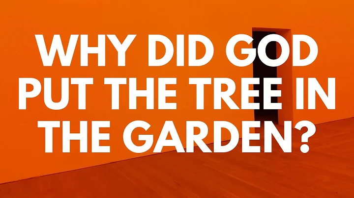 Why Did God Put the Tree in the Garden if He KNEW Man Would Sin? - Your Questions, Honest Answers