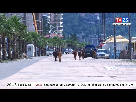 გონიოს სანაპირო ზოლი ტურისტულ სეზონს წელსაც მოუმზადებელი შეხვდა