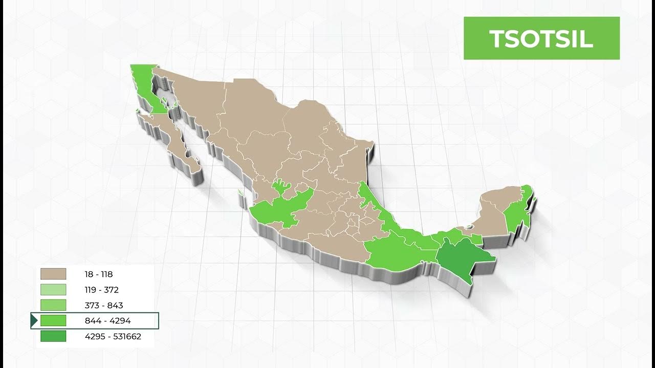 Lengua tsotsil poblaci n hablante de lenguas ind genas por entidad