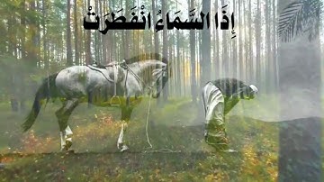 سورة الإنفطار _ تلاوة مؤثره جداً _ تلاوة خاشعة _ القارئ أسد حمود