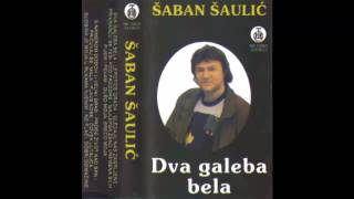 Saban Saulic - Pijem i pevam - ( 1979) HD Resimi
