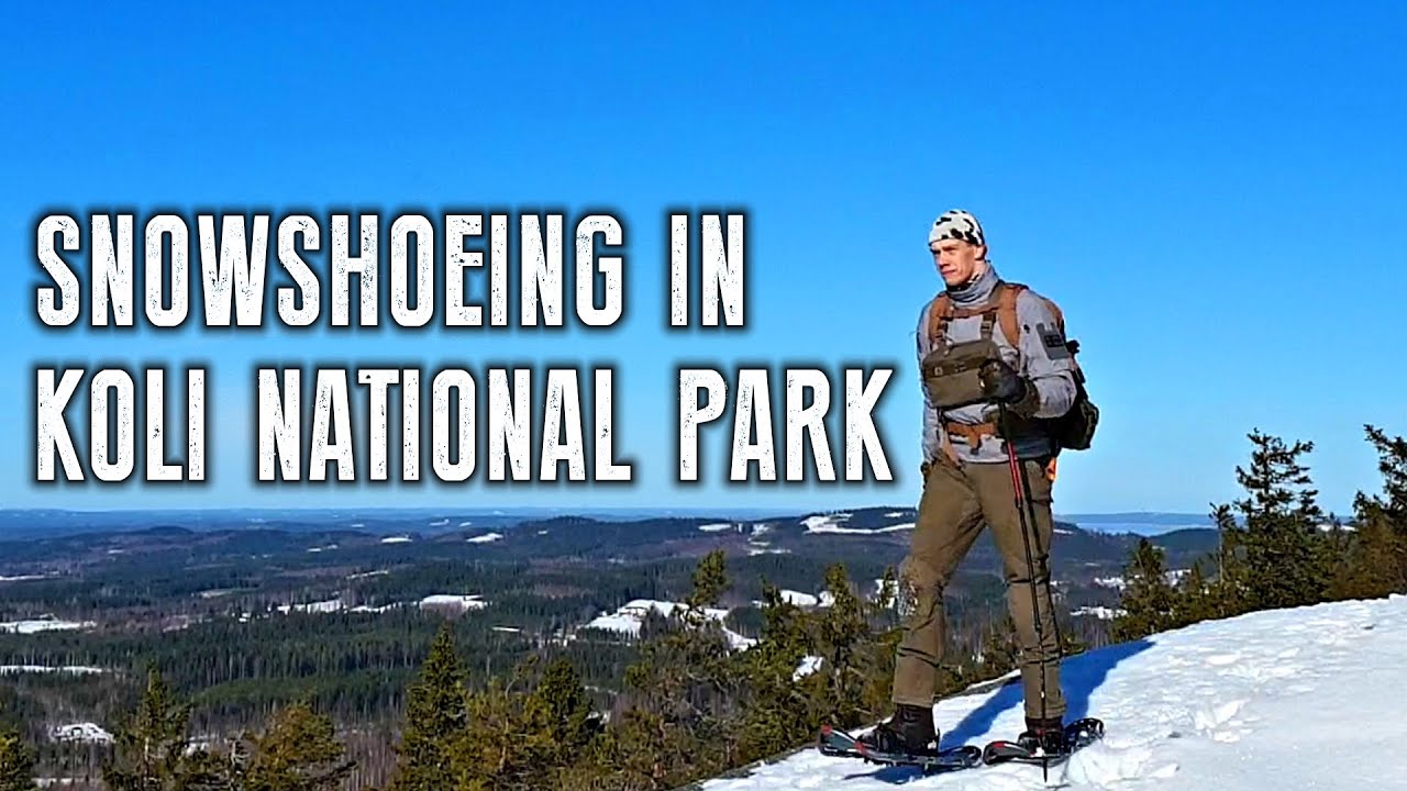 Snowshoeing in Koli national park - campfire lunch & coffee | Taival Outdoors