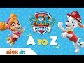 PAW Patrol from A to Z 📚Learn to Read the Alphabet w/ the Pups | PAW Patrol | Nick Jr.