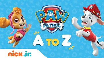 PAW Patrol from A to Z 📚Learn to Read the Alphabet w/ the Pups | PAW Patrol | Nick Jr.