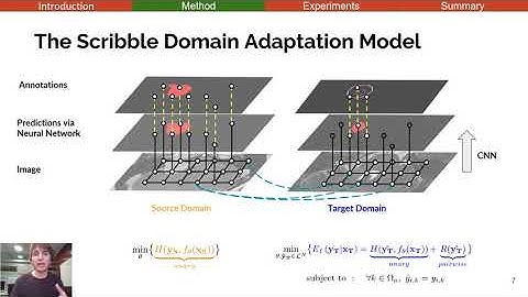 Scribble-based Domain Adaptation via Co-segmentation