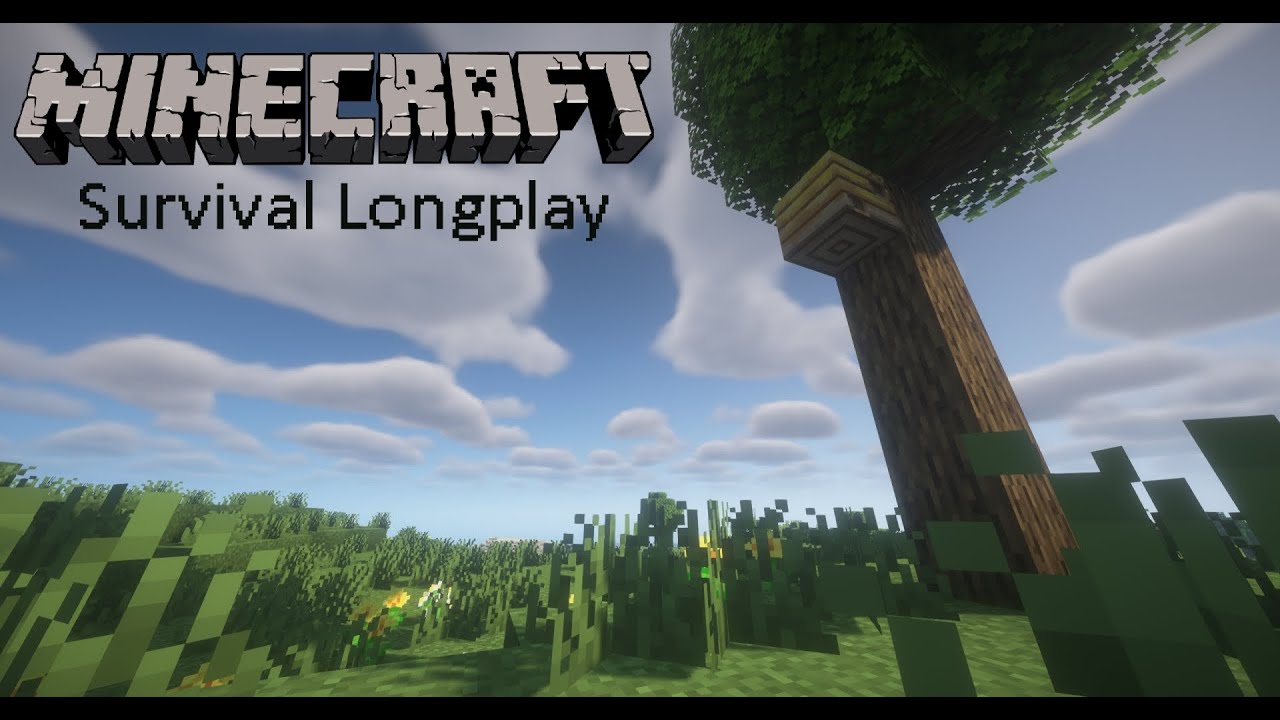 Minecraft Survival Longplay 1 (No Commentary) - YouTube