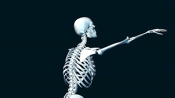 Gait Analysis and Biometic Motion Assessment