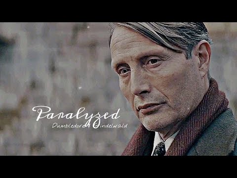 Dumbledore & Grindelwald | Paralyzed