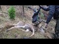 STUD BLACKTAIL SHOT BY YOUTH HUNTER