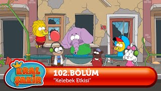 Kral Şakir 102 Bölüm - Kelebek Etkisi